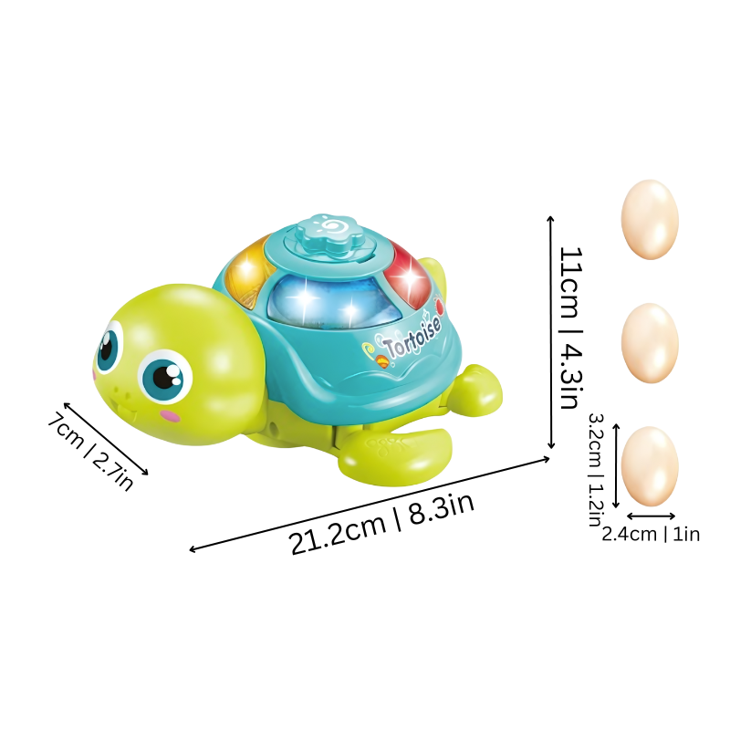 Schildpadje
