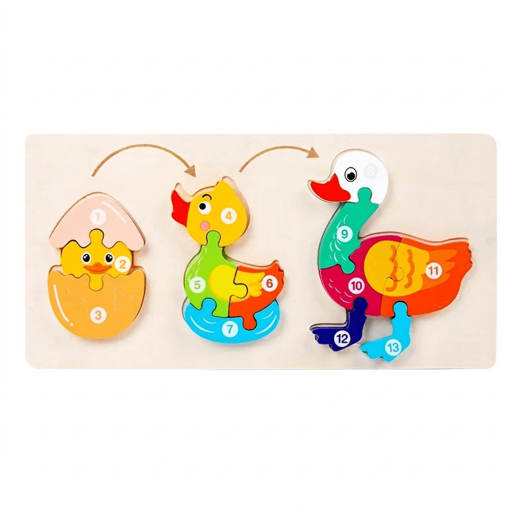 Levenscycluspuzzel