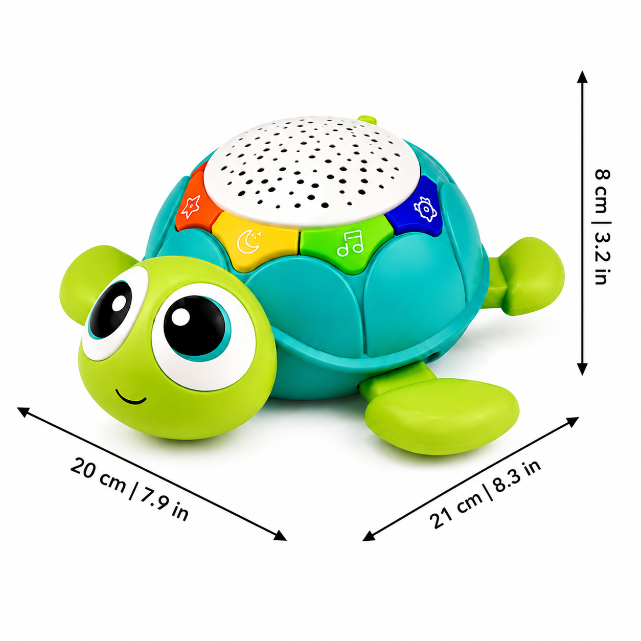 Kruipschildpadje