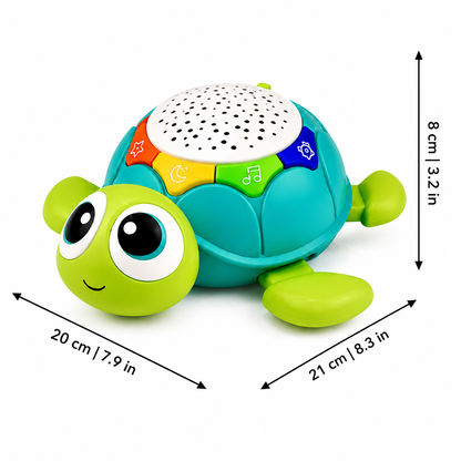 Kruipschildpadje
