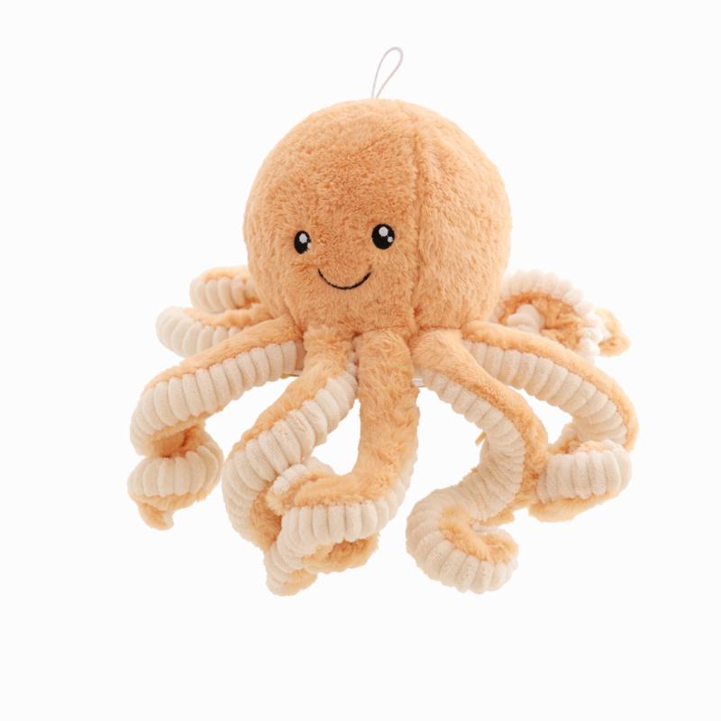 Troostoctopus