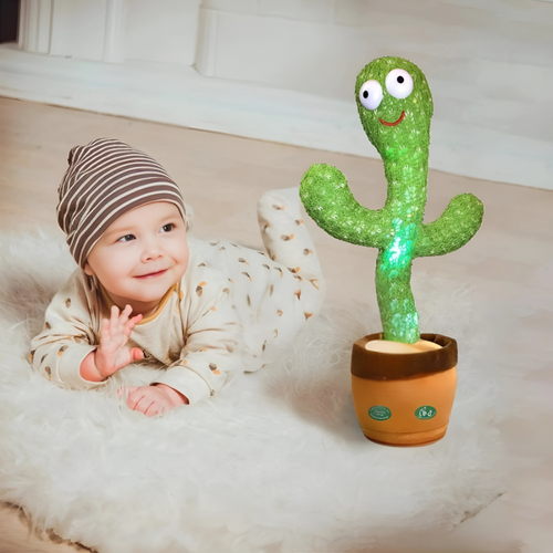 Zingcactus