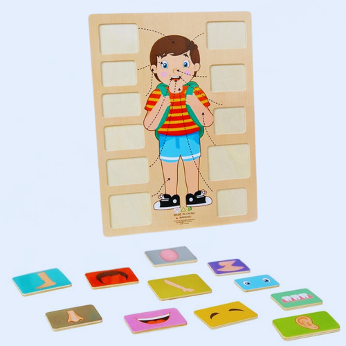 Lichaamsdelenpuzzel