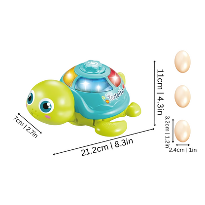 Schildpadje