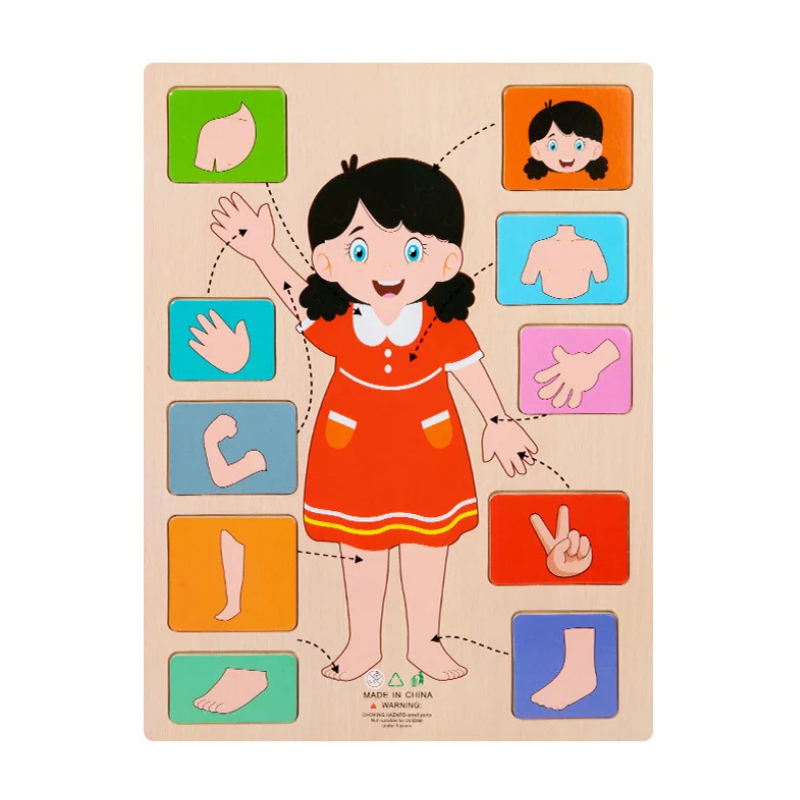 Lichaamsdelenpuzzel