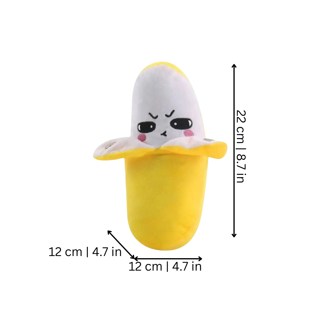 Muziekbanaan