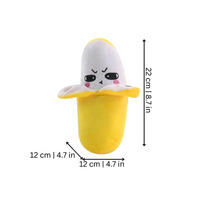 Muziekbanaan