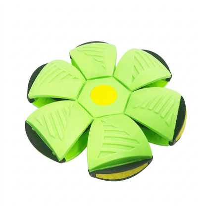 Popdisc